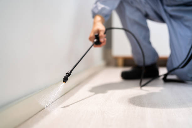 Bed Bug Pre-Treatment Preparation Assessment in Trenton