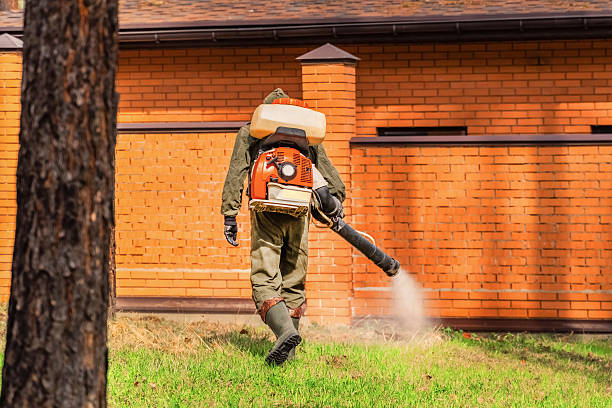 Bed Bug Clearance Verification and Documentation in Trenton